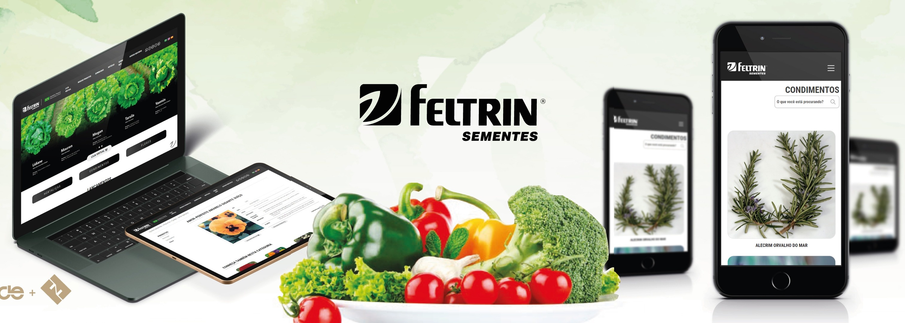 Feltrin
